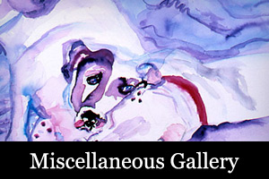 Miscellaneous Gallery